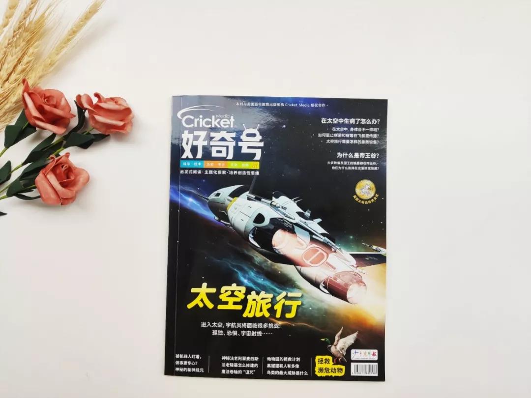 给孩子订阅什么杂志好,给孩子订阅报刊杂志推荐