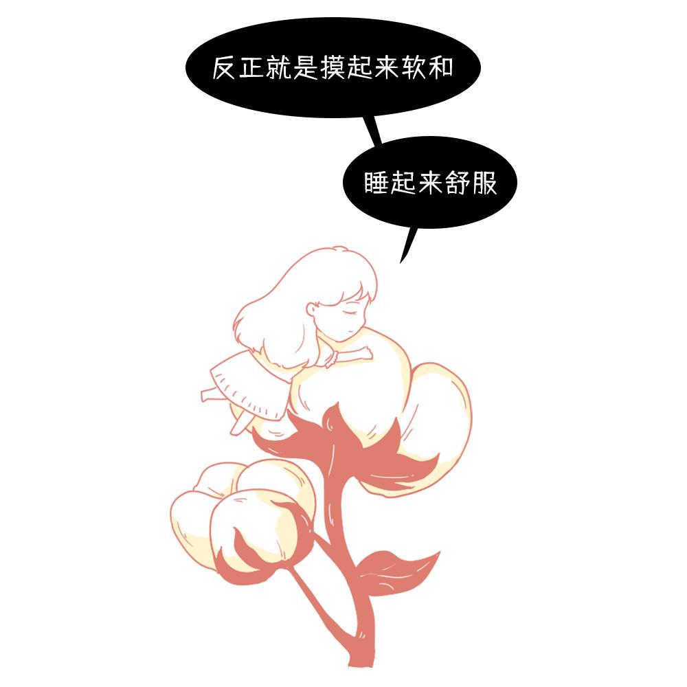 养活大量人口的粮食作物,正宗新疆新棉花大量上市