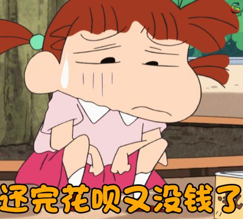 在新西兰读高中一年生活费费用,新西兰留学生活费一般多少