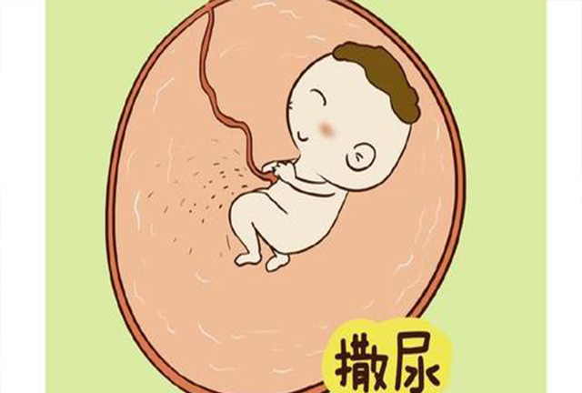 孕期同房,对胎儿有啥影响?别害羞,看完就知道了!