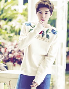 鹿晗娱乐圈热度数据,流量男明星都有哪几位