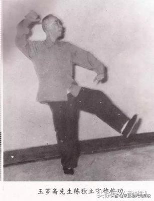 禅武山人说功夫：释译王芗斋先生原汁原味的养生桩原传功法歌诀