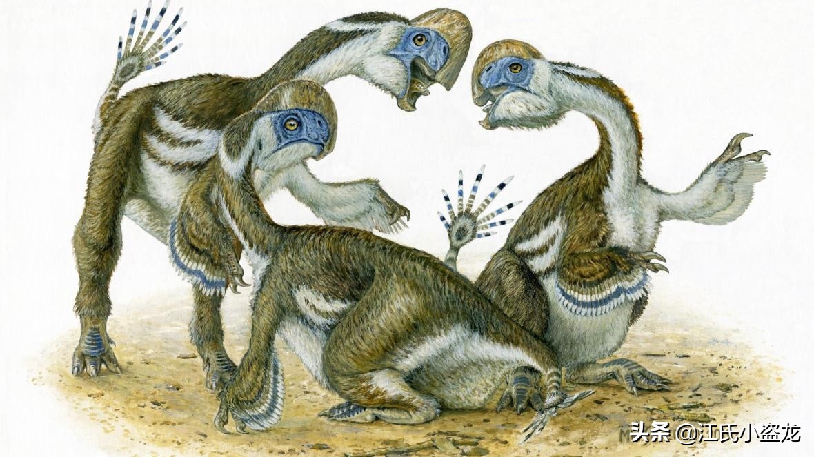 古生物时代有多少种恐龙,人类已经发现了多少恐龙种类