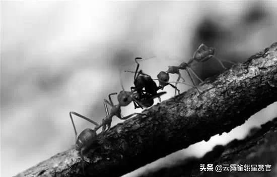 中国传说中的十大恐怖生物,盘点西游记十大最强妖精