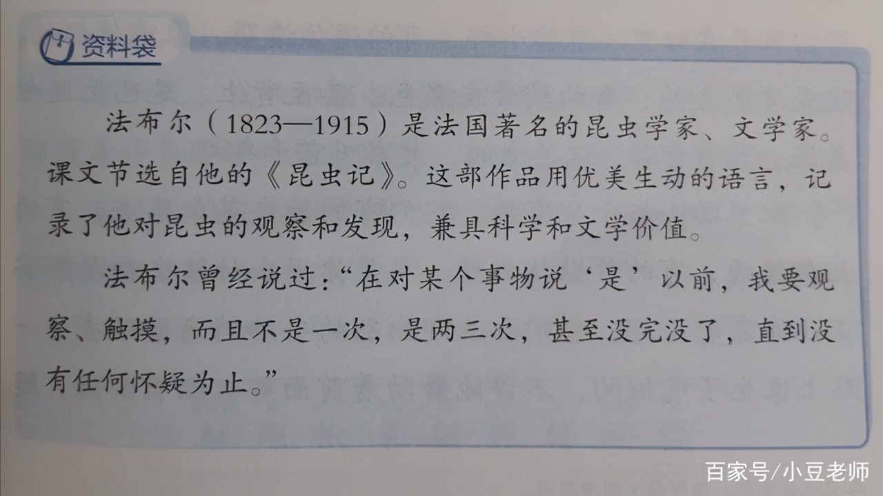 三年级下册语文15课蜜蜂讲解,三年级下册课文蜜蜂课后作业图表