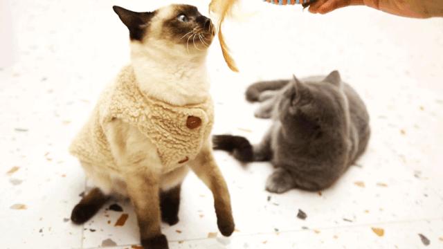 上海平价咖啡店推荐,上海必去的咖啡店