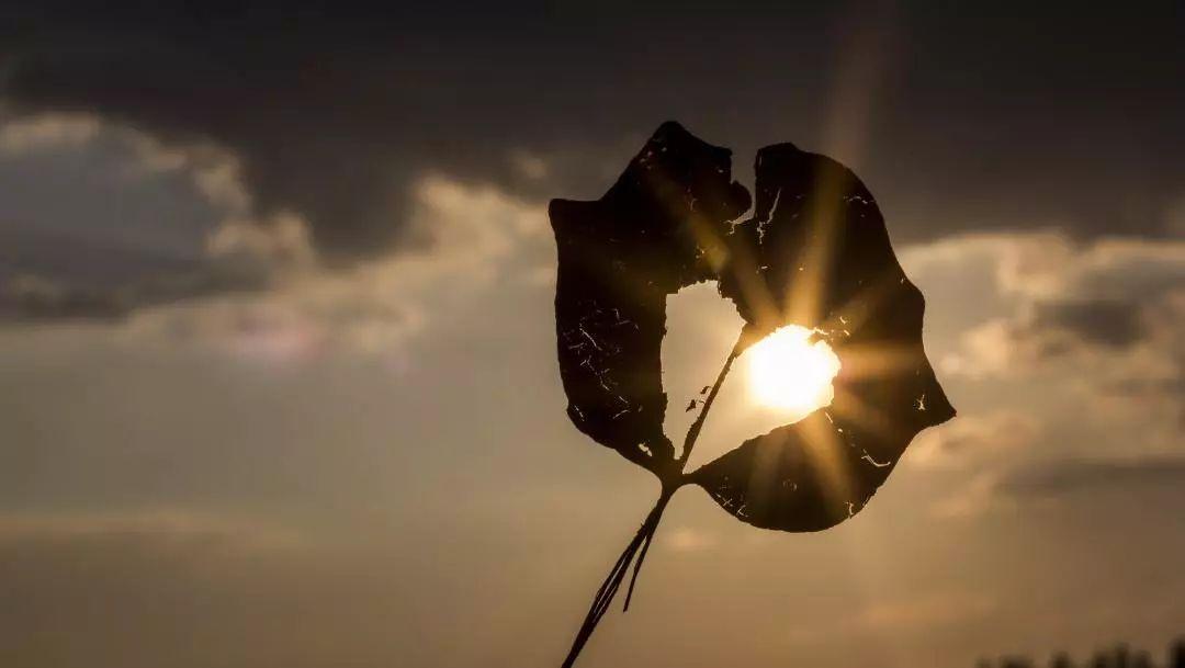 离婚案件怎么样女法官才会同情你,当一名女法官有多难