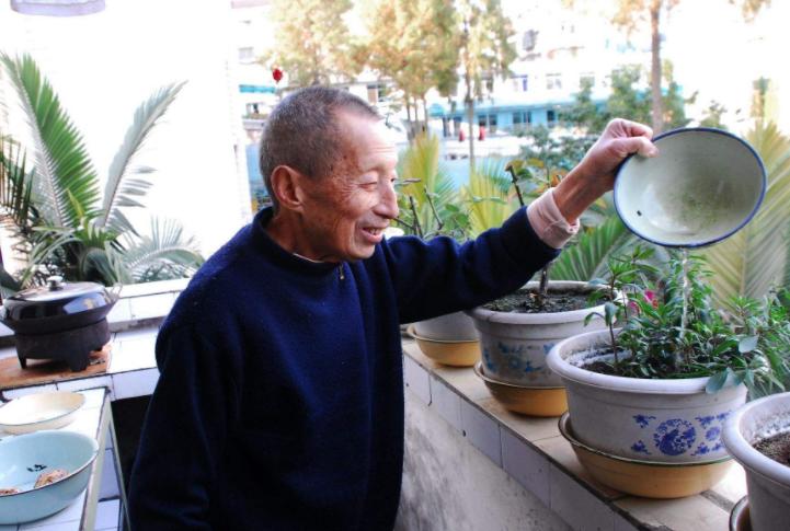 在家养花里面浇点简单的什么,家庭养花可以浇橘子皮水吗