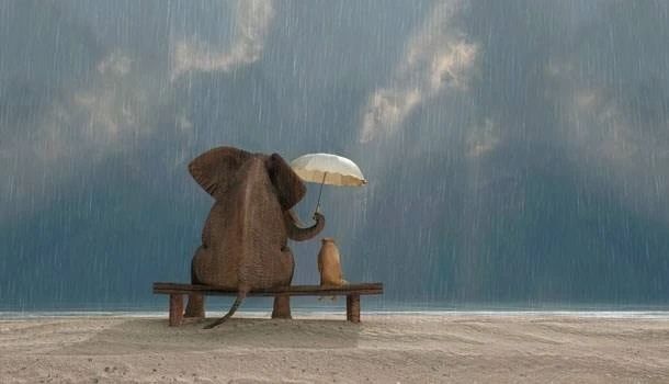 再穷也不能给亲戚打工的原因是啥,再穷不帮亲戚打工短语