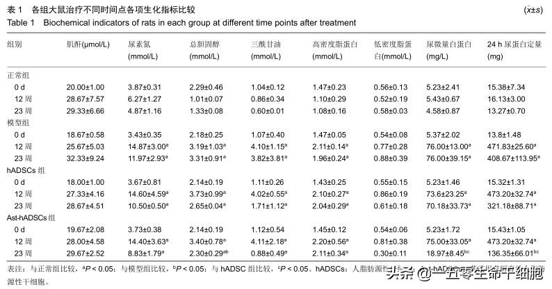 糖尿病肾病患者福音：干细胞疗法五大优势，打破传统干预肾病困局