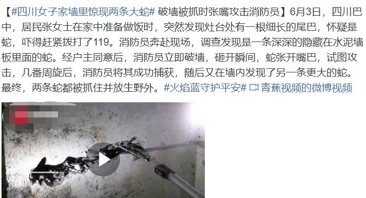 贵州出现大量的蛇进入家里,3米长大蛇出没吓坏村民