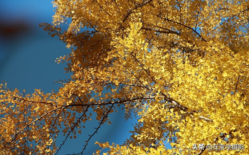 卡色uv镜和偏振镜哪个好,uv镜cpl偏光镜