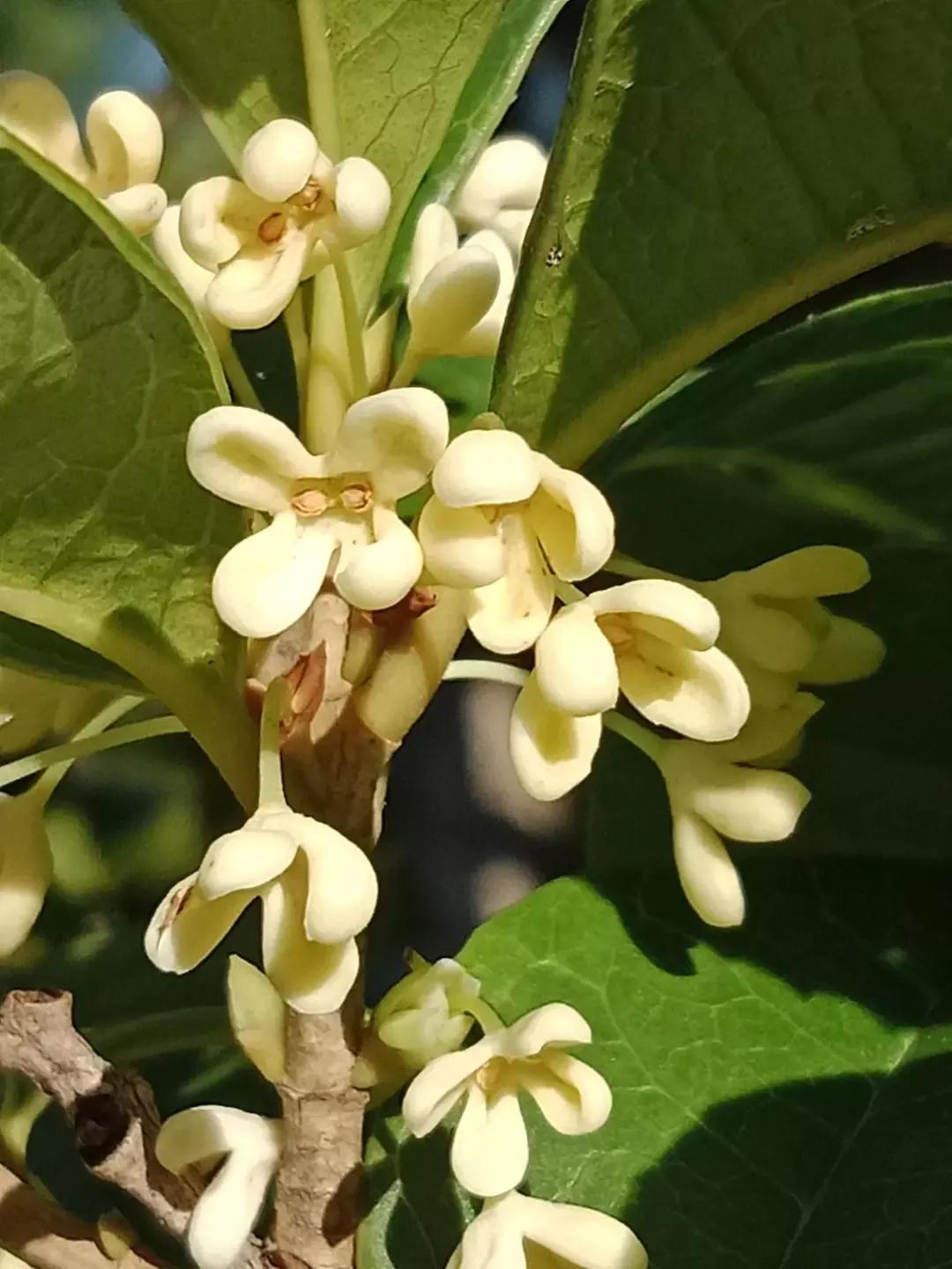 人睡着后不盖被子会着凉吗,人睡觉时为什么要枕枕头