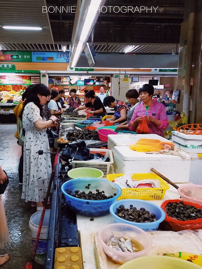 嵊泗列岛三天三夜自由行攻略 (嵊泗本岛三天两夜自由行攻略住宿)