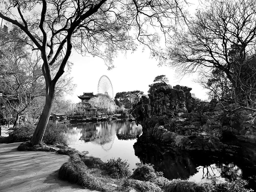 冼东文：寻找西施（蠡园情）