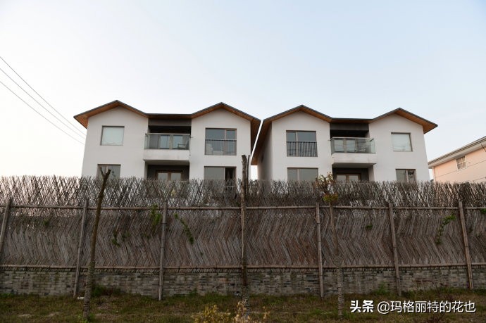 上海洋水仙,上海璞素上居民宿抖音团购