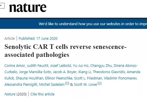 car-t细胞论文,自然论文