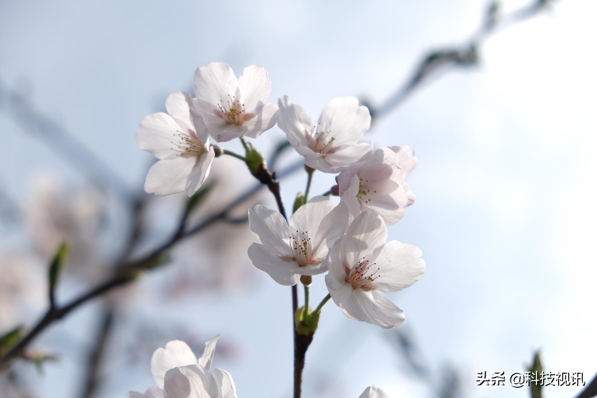 富士X-T30二代评测,富士x-t30开机键在哪儿
