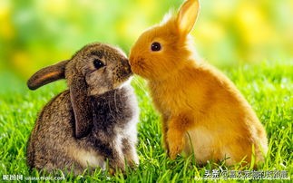 无奇不有的冷知识,世界之大无奇不有令人大开眼界