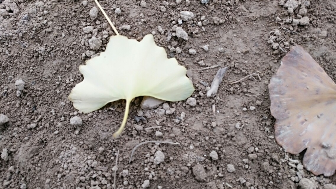 没有所有的感同身受只有冷暖自知,这个世界从来没有真正感同身受