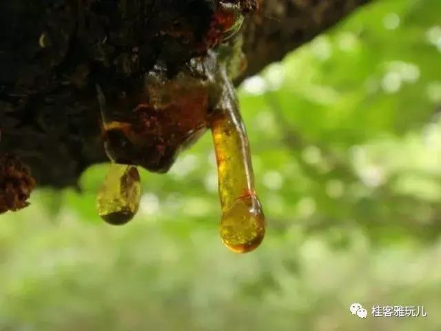 如何鉴定琥珀蜜蜡的真伪,玛瑙琥珀蜜蜡有什么区别