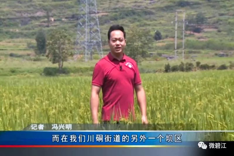 铜仁川硐未来发展前景如何,铜仁碧江川硐发展不利因素