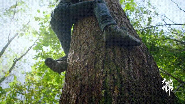 东北跑山是什么样子的,松花江采冰视频