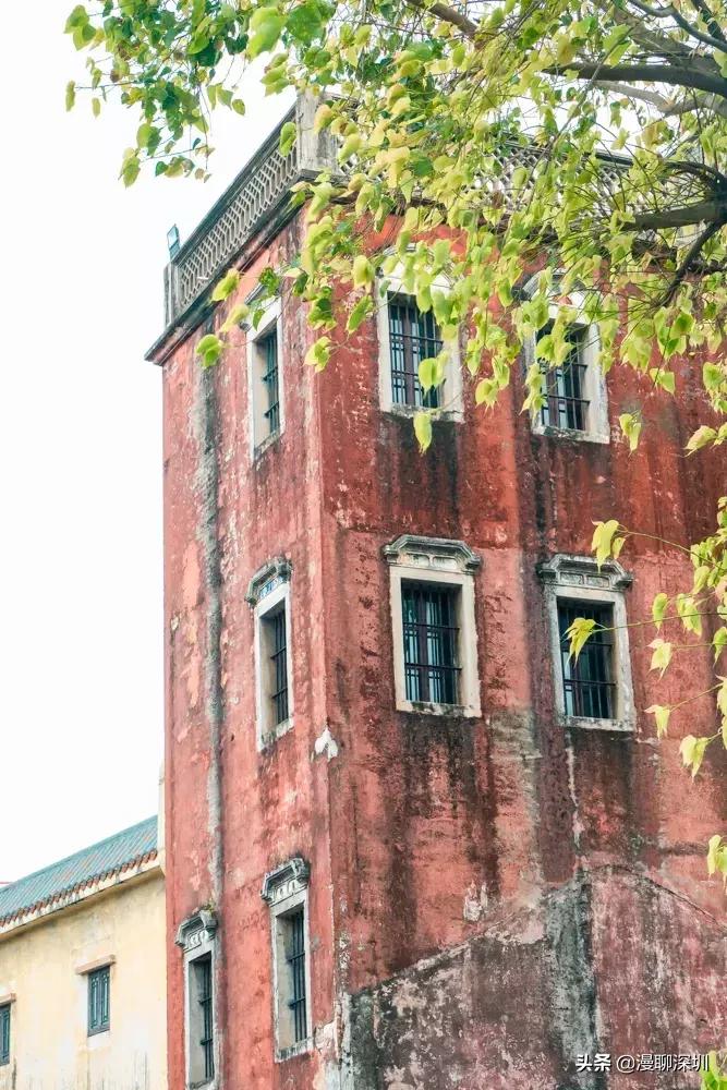 行走深圳歌曲,深圳观澜攻略