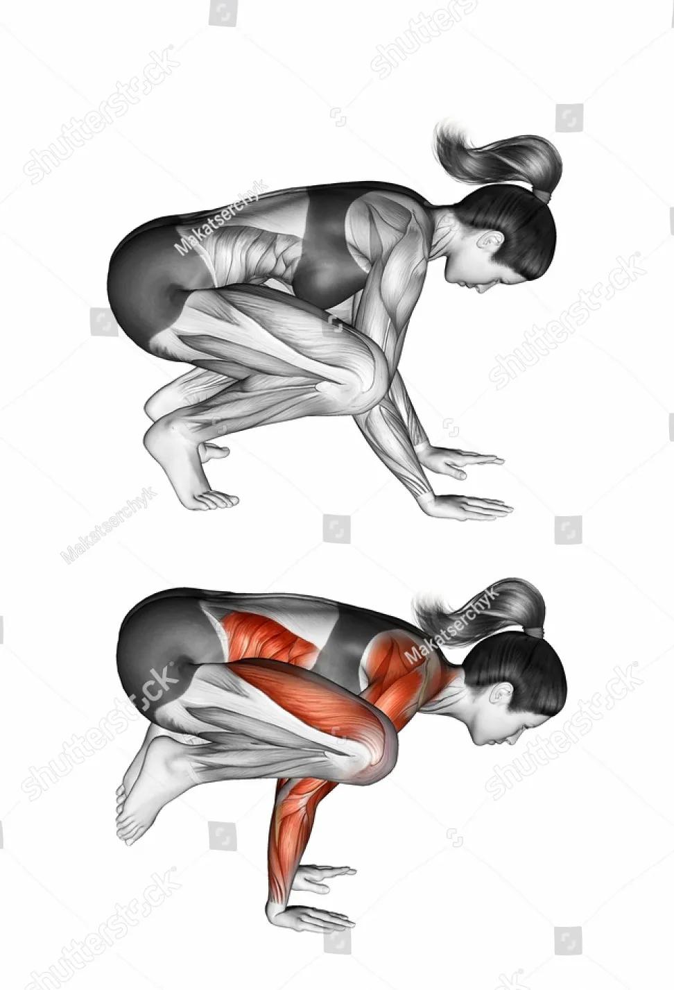 放松肌肉的动作图,各个肌肉的放松方法