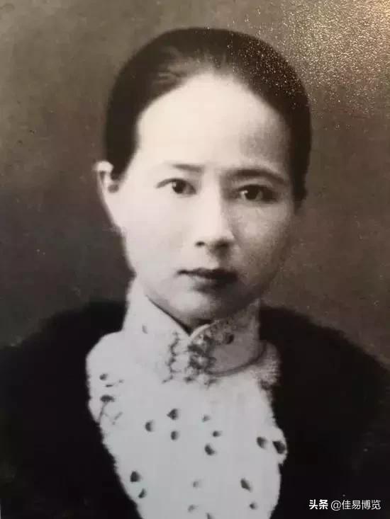 源氏物语林文月译本,源氏物语全新译本