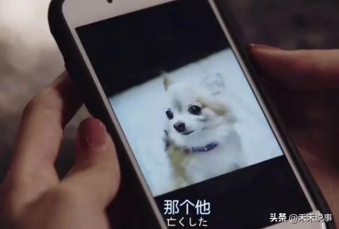 能拍出这种羞羞剧的，也就岛国了。