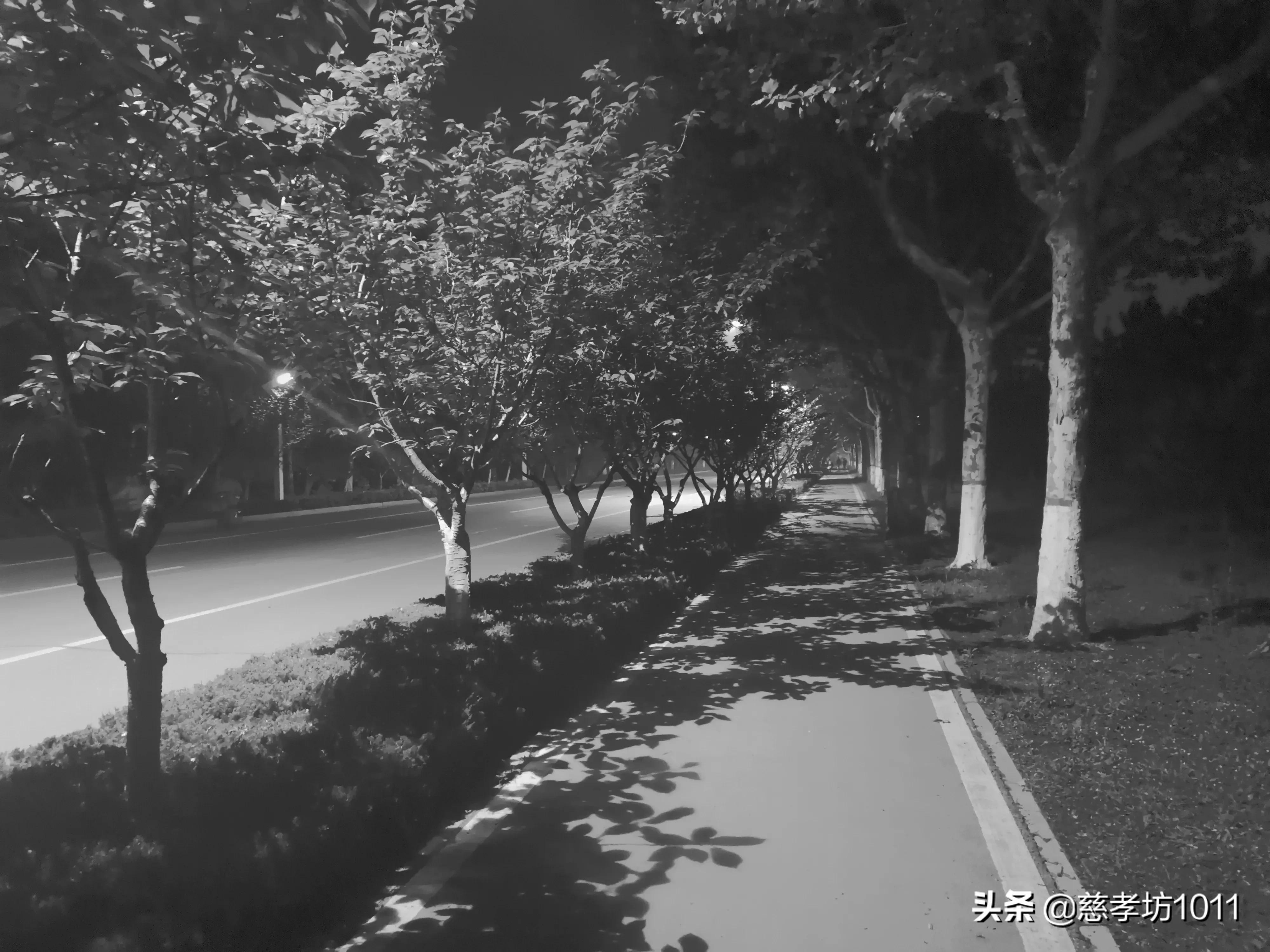 临沂大学校园游览,临沂大学参观感想