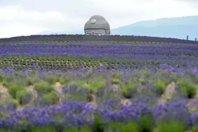 设计的核心是创新吗,楼梯的创新设计