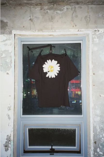 权志龙关于爱情,关于权志龙小雏菊所有资料