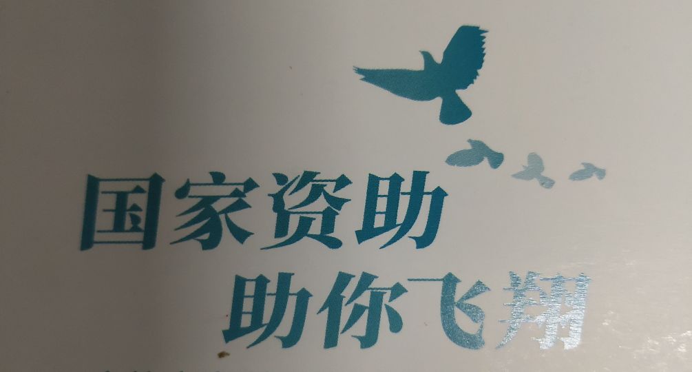 大学贷,大学贷的款后面怎么还款