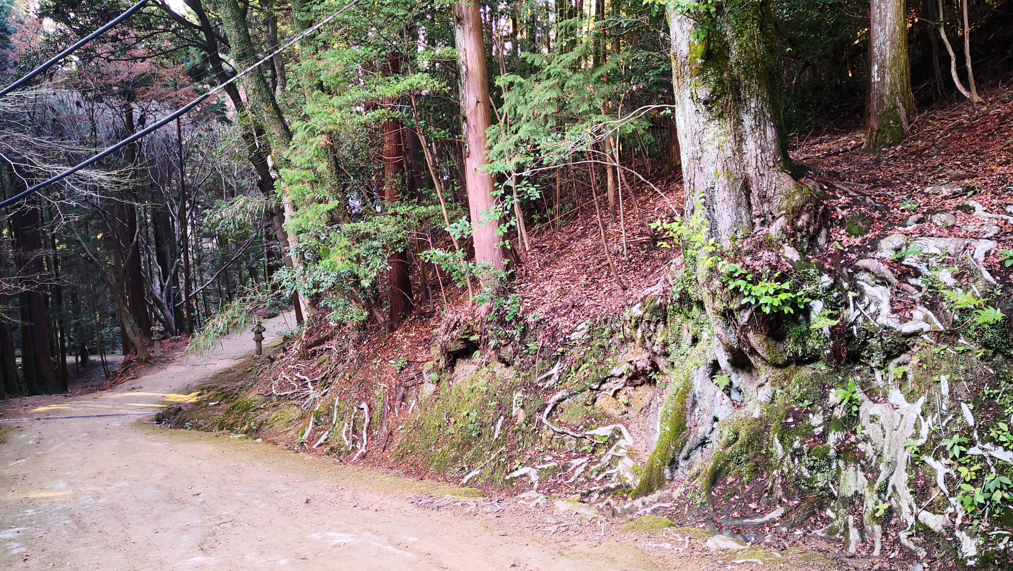 书写山圆教寺景点,书写山圆教寺攻略