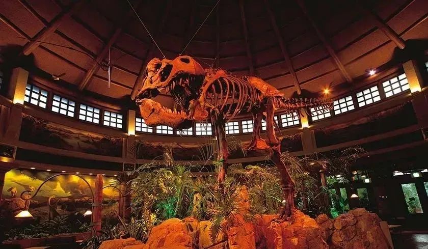 大阪环球影城自带食物攻略,大阪环球影城用餐便宜的地方