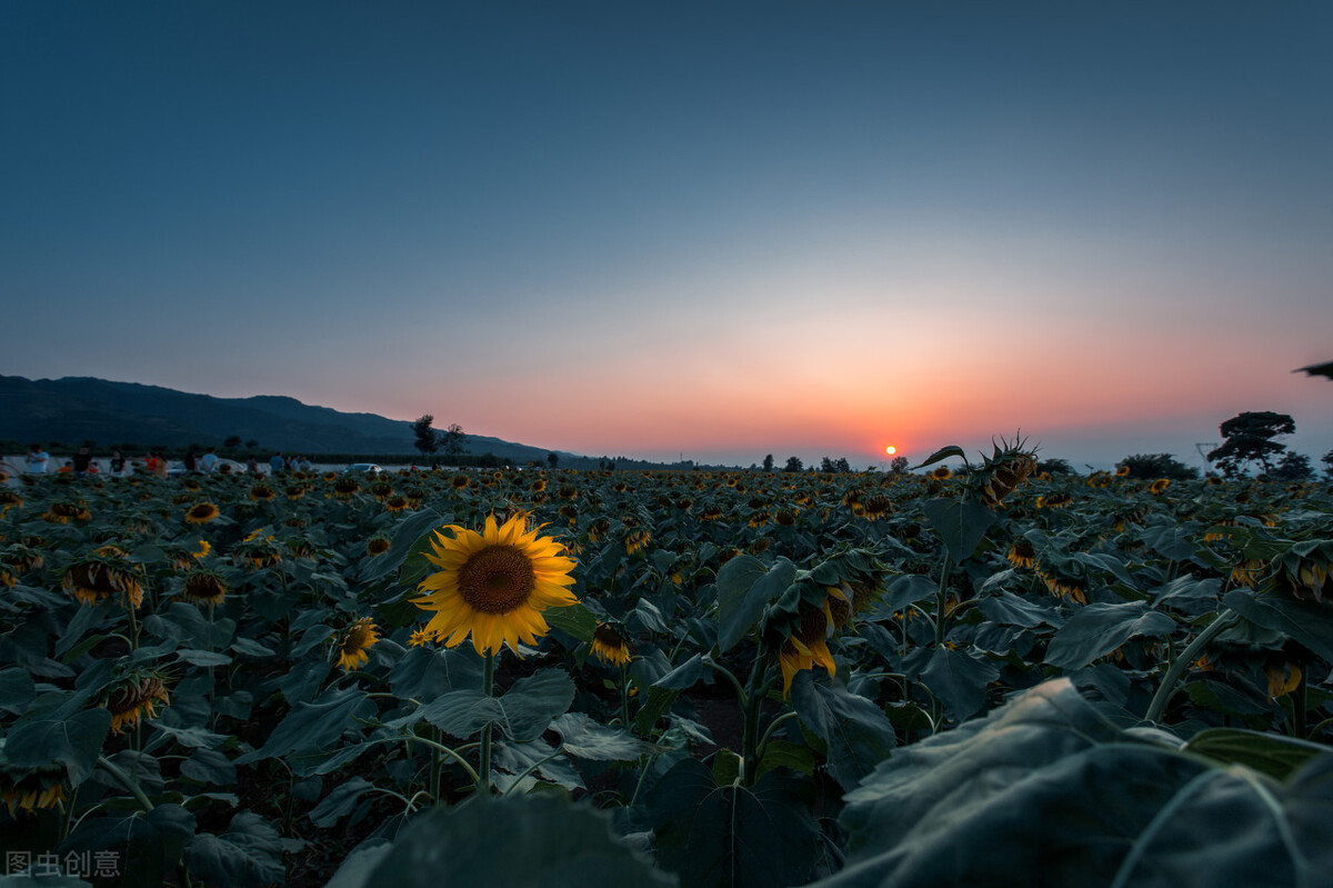 小资生活是什么主义,小资生活是什么样子的