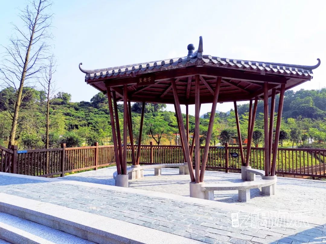 深圳最美簕杜鹃谷公园花海,宝安区花海赏花景点