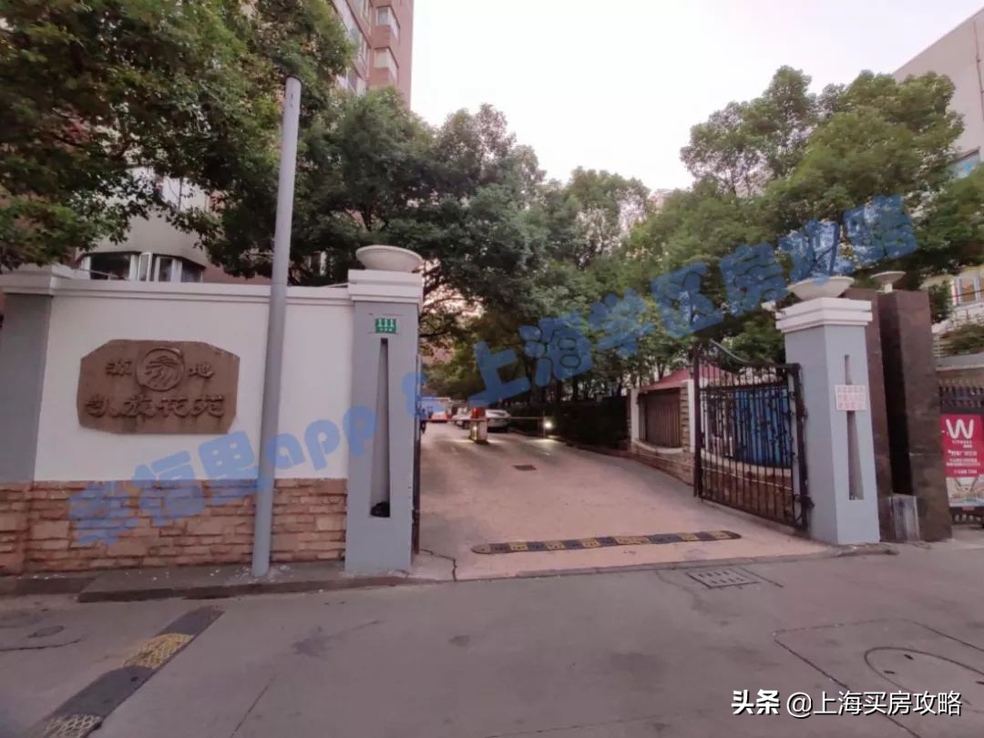 徐汇四大公办小学对比,上海汇师小学和分校