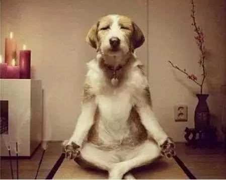 单身生活有多爽,日本宅男的真实生活