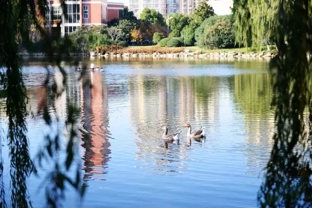 走进名校与学霸面对面,江苏学霸天团天一中学