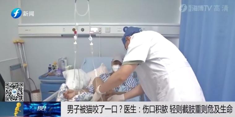 一个人在家里被大狗咬了,宠物猫咬主人一口主人被截肢