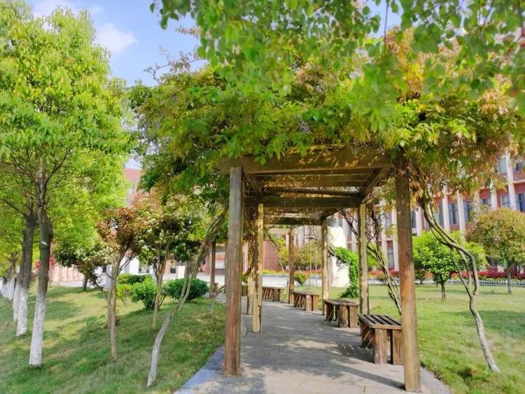 @亲爱的浠水思源学子：疫散花开，等你回来！