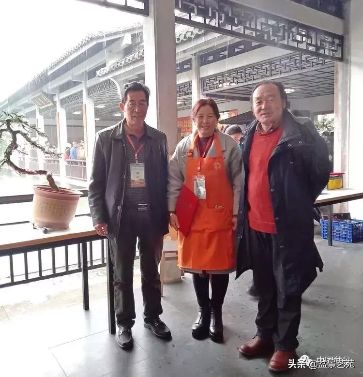 山东盆景艺术大师王桂华,金艳盆景精品欣赏