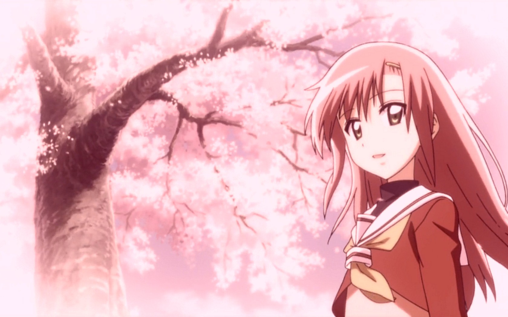 鏃嬮绠″婕敾,鏃嬮绠″婕敾鍚庣画