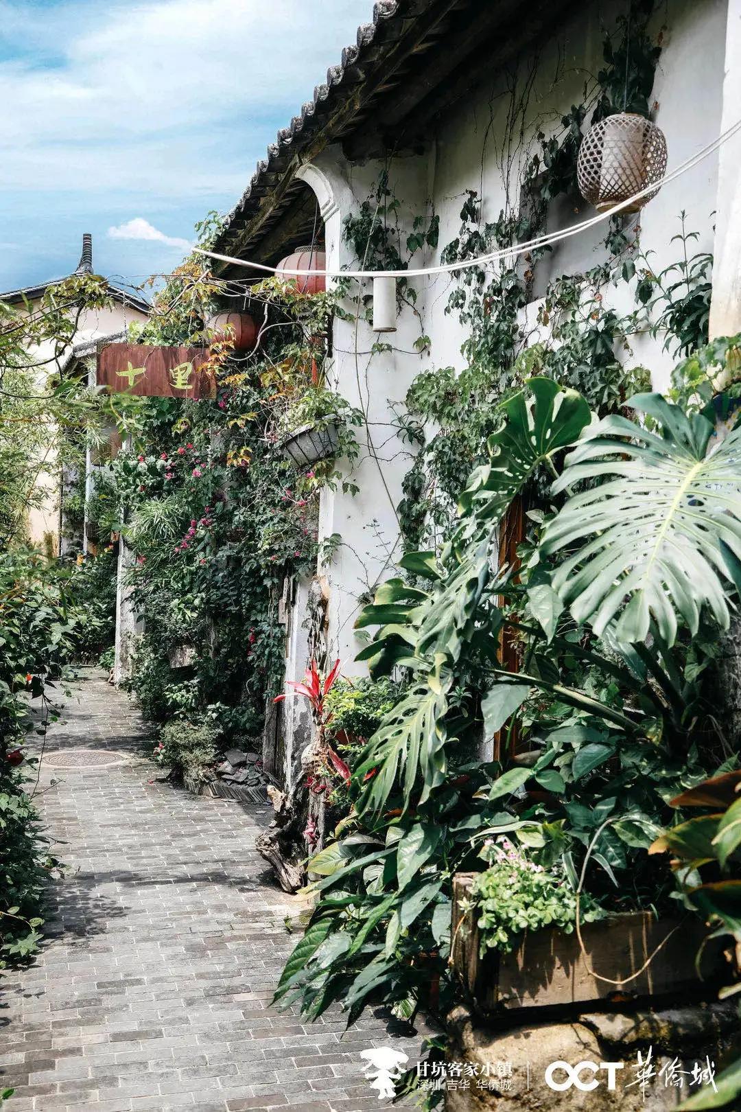 深圳不为人知的好地方,深圳不为人知的美景