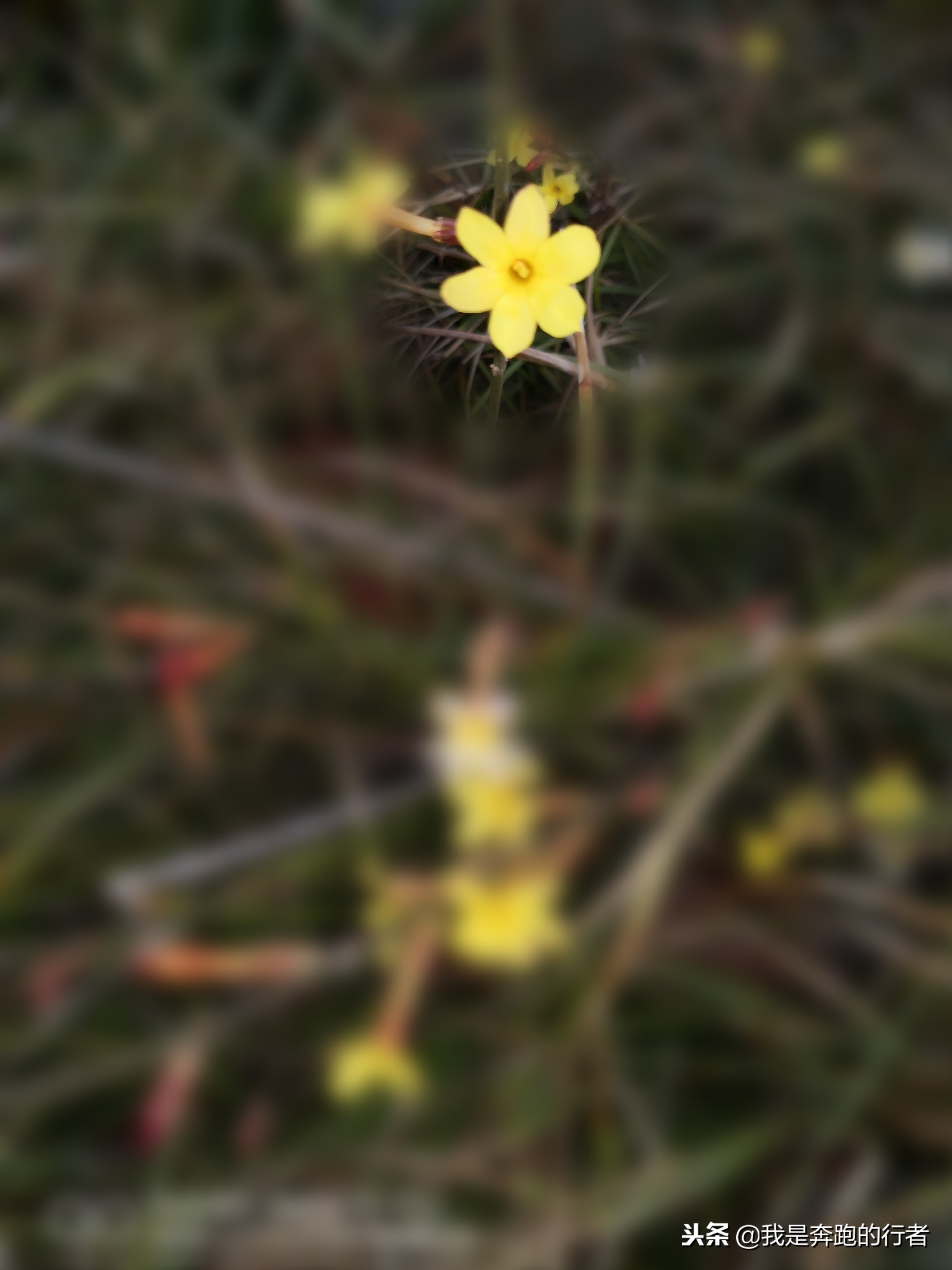 不争不抢活到老,不争不抢的人生才能更淡定从容