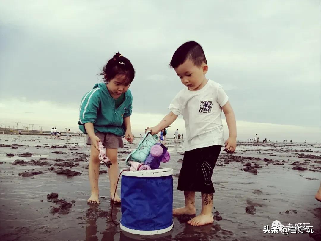 遛娃|南汇新城海滩，魔都夏日必打卡？