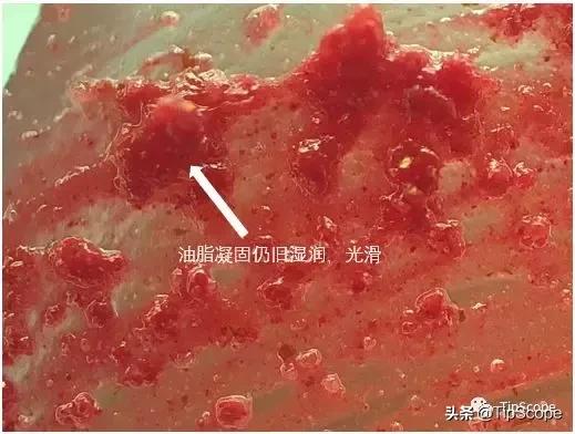 什么口红安全实用又滋润,什么口红安全健康无毒